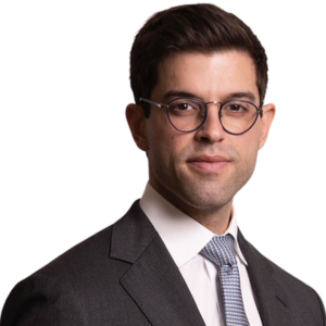 The Bristlemoon Global Fund